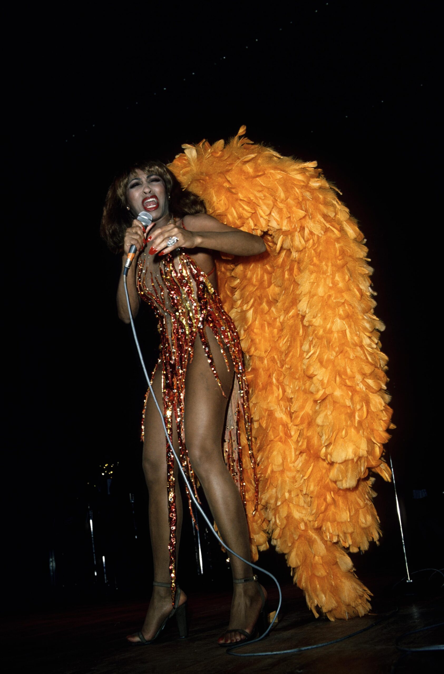 Tina Turner Fashionable Moments 5